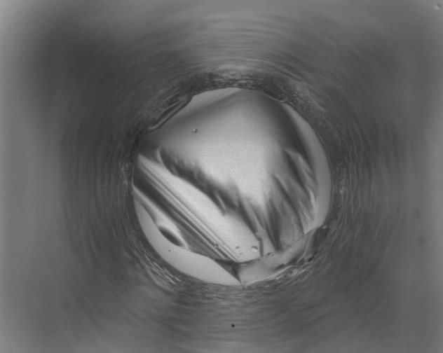 X0000073980868200609181714