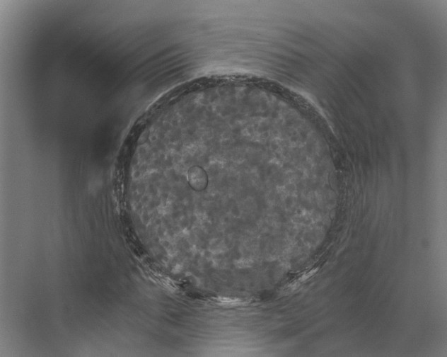 X0000073980871200609181714