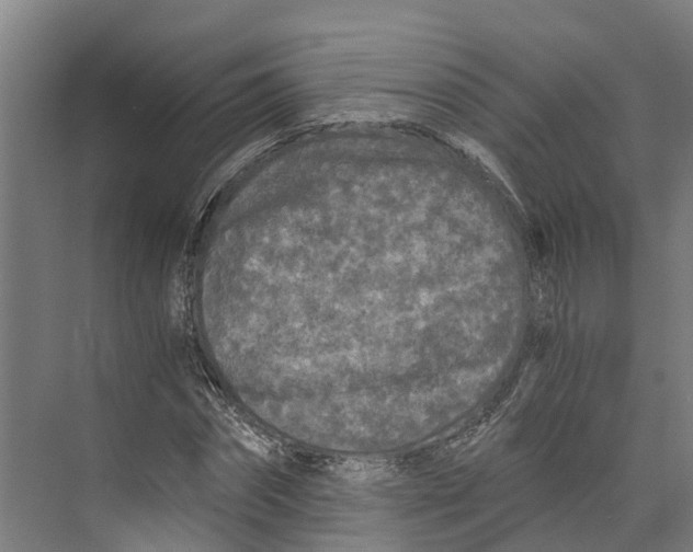 X0000073980874200609181714