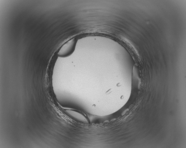 X0000073980876200609181714