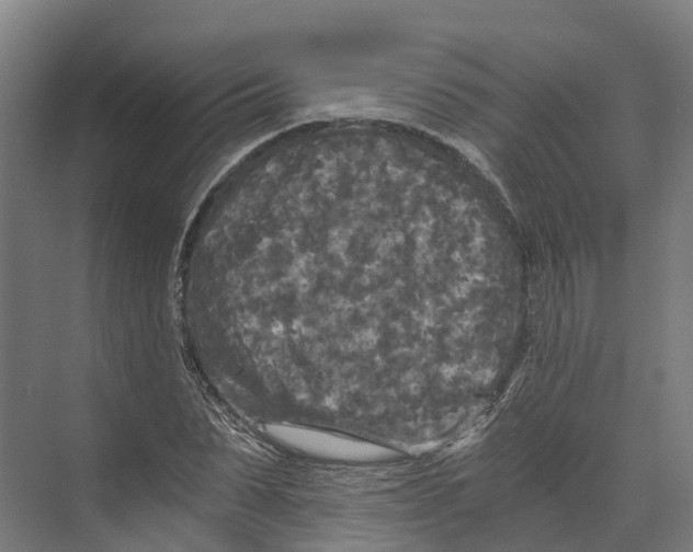 X0000073980879200609181714