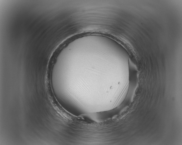 X0000073980880200609181714