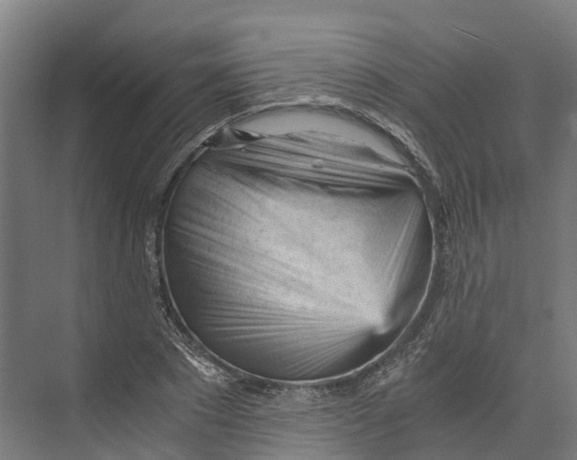 X0000073980881200609181714