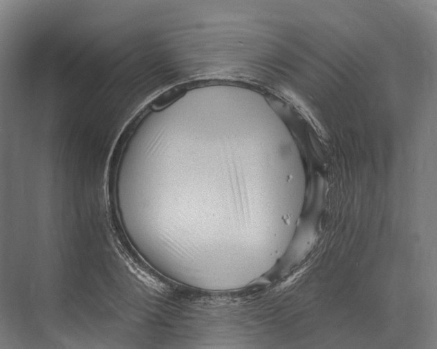 X0000073980884200609181713