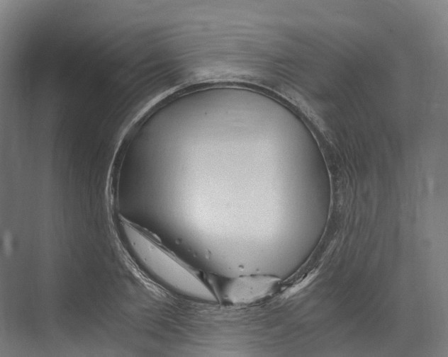 X0000073980885200609181713