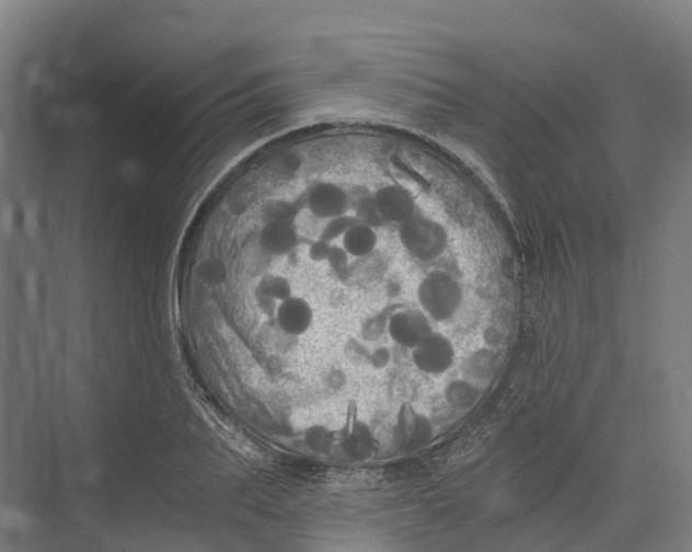 X0000073980887200609181713