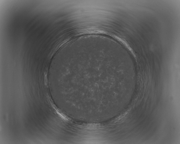 X0000073980889200609181713