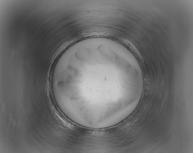 X0000073980890200609181713