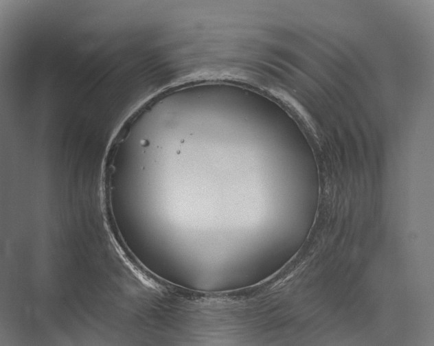 X0000073980894200609181713