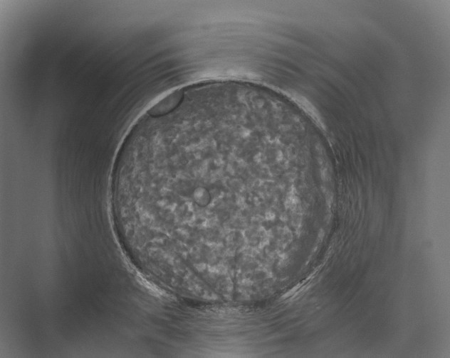 X0000073980895200609181713