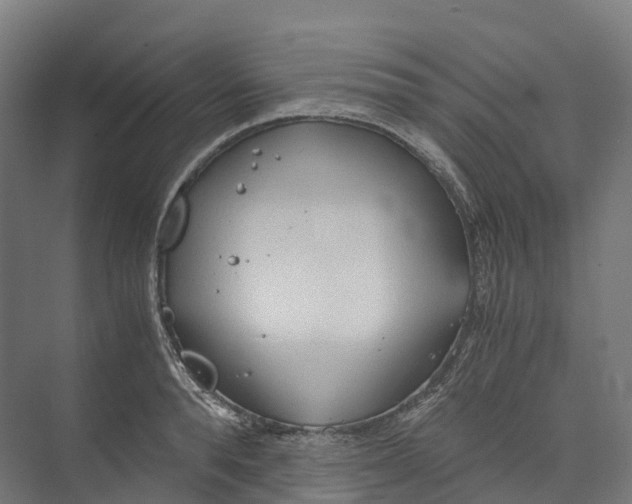 X0000073980896200609181713