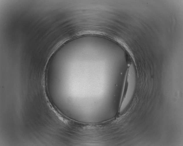 X0000073980898200609181713