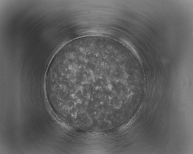 X0000073980899200609181713