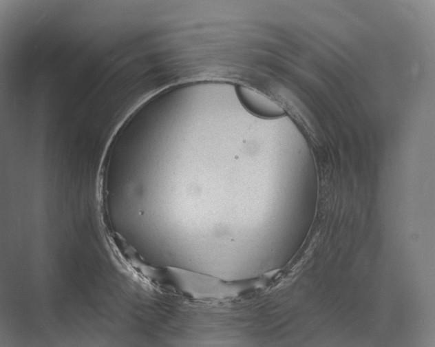 X0000073980900200609181713