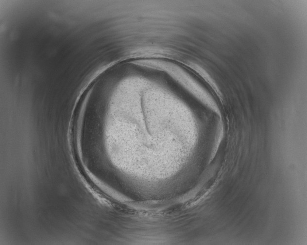 X0000073980901200609181713