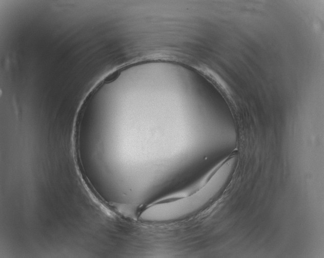 X0000073980902200609181713