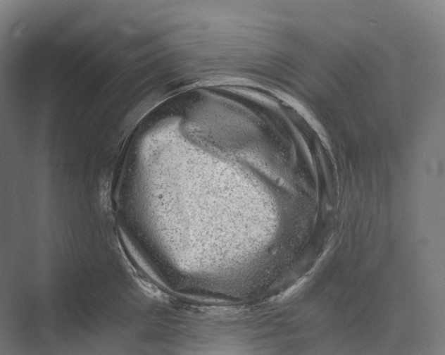 X0000073980905200609181713