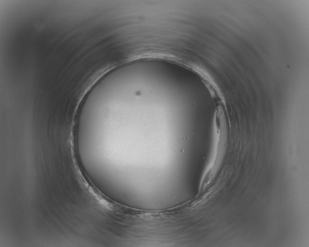 X0000073980906200609181713