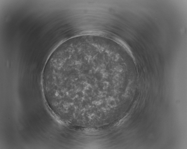 X0000073980907200609181713