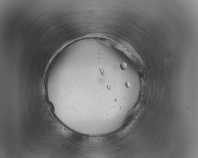 X0000073980908200609181713