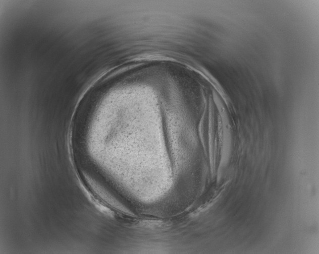 X0000073980909200609181713