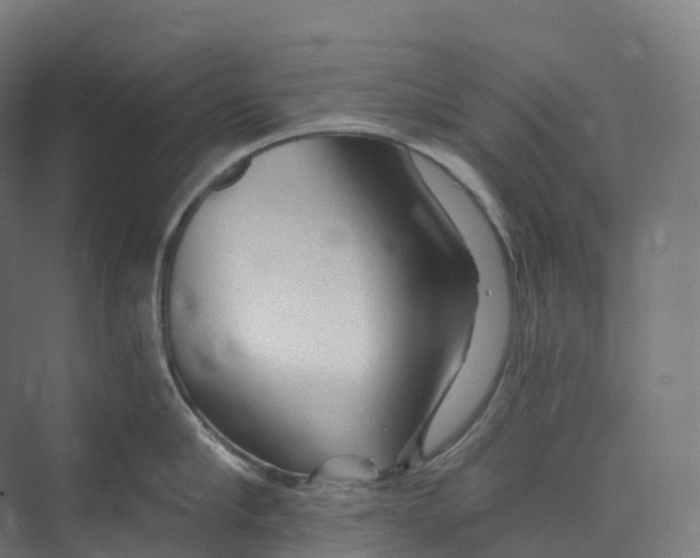 X0000073980910200609181713