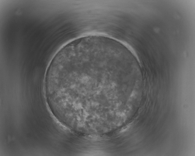 X0000073980911200609181713