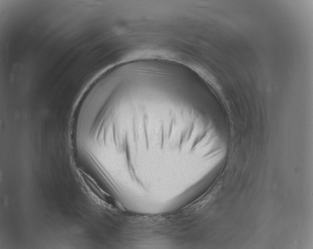 X0000073980912200609181713