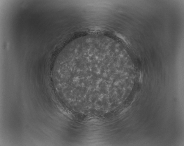 X0000073980913200609181712