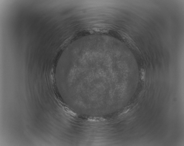 X0000073980915200609181712