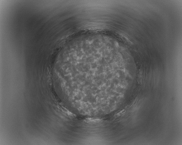 X0000073980917200609181712