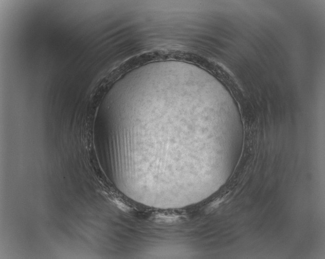 X0000073980919200609181712