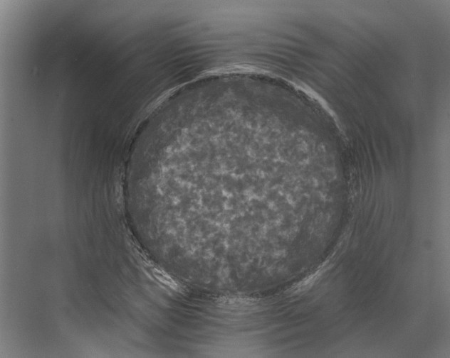 X0000073980921200609181712