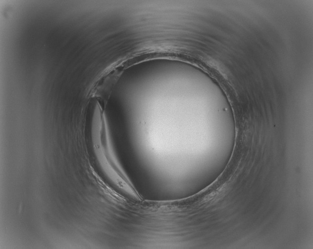 X0000073980922200609181712