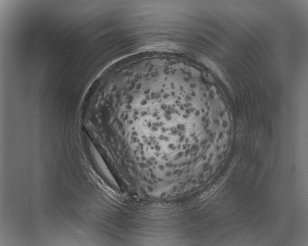 X0000073980923200609181712