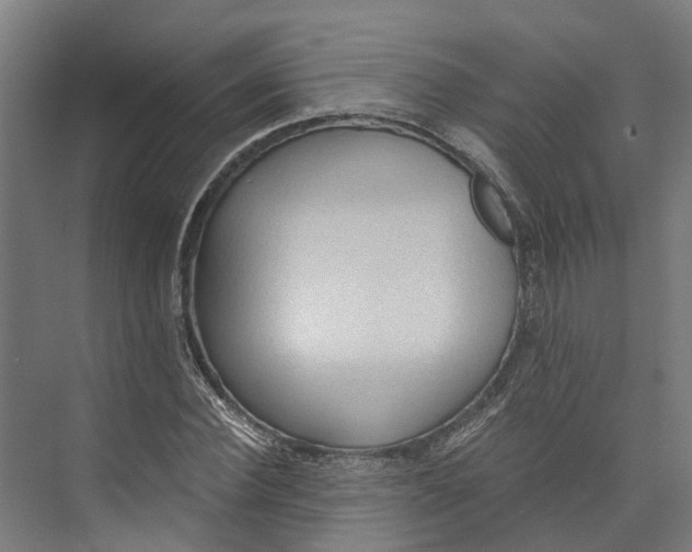 X0000073980924200609181712