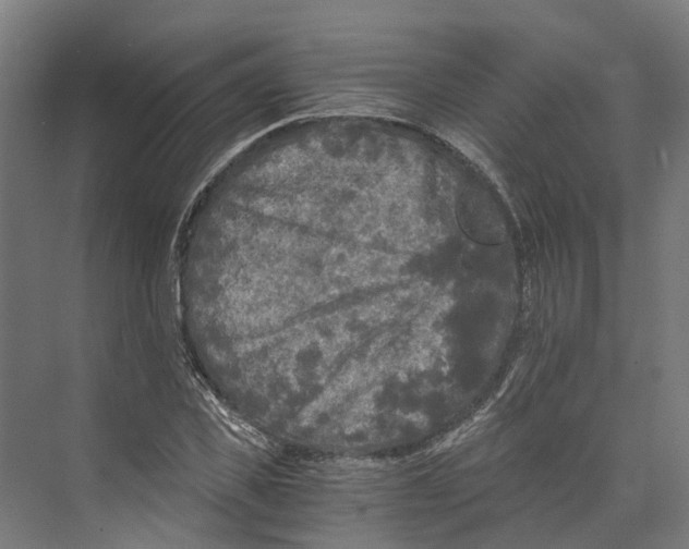 X0000073980925200609181712