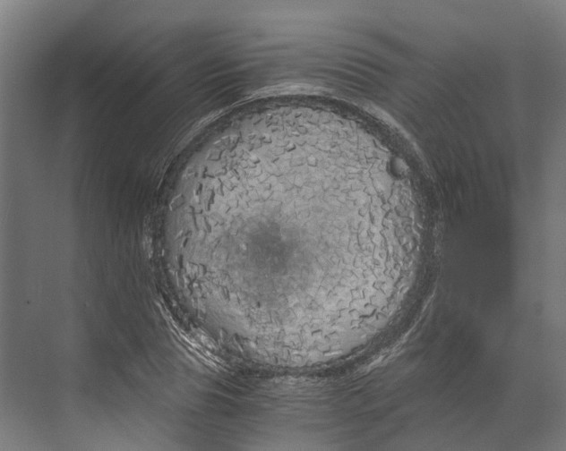 X0000073980929200609181712