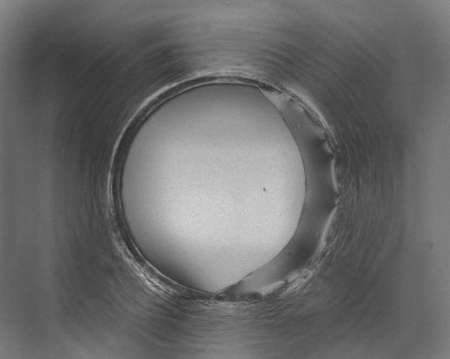 X0000073980932200609181713