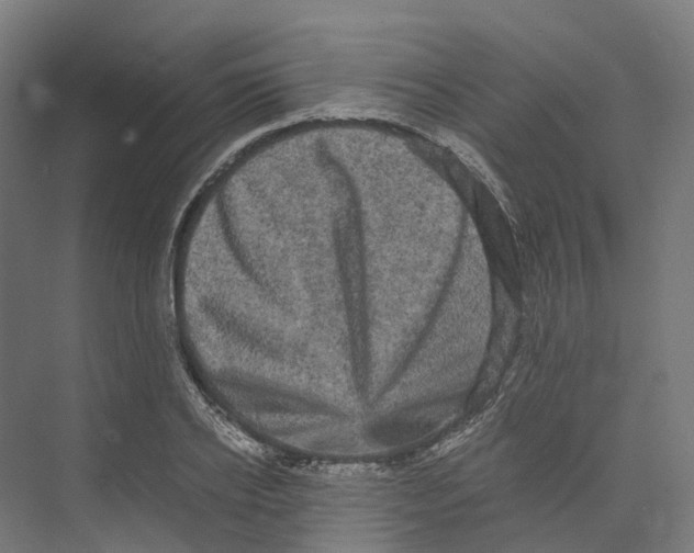 X0000073980934200609181713