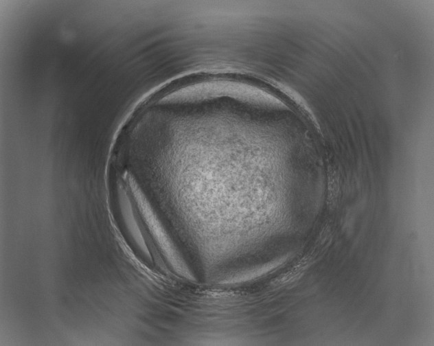 X0000073980935200609181713