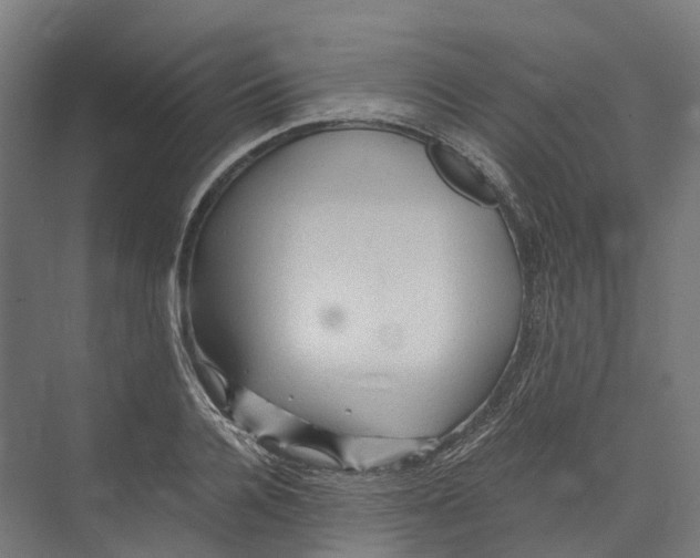 X0000073980936200609181713