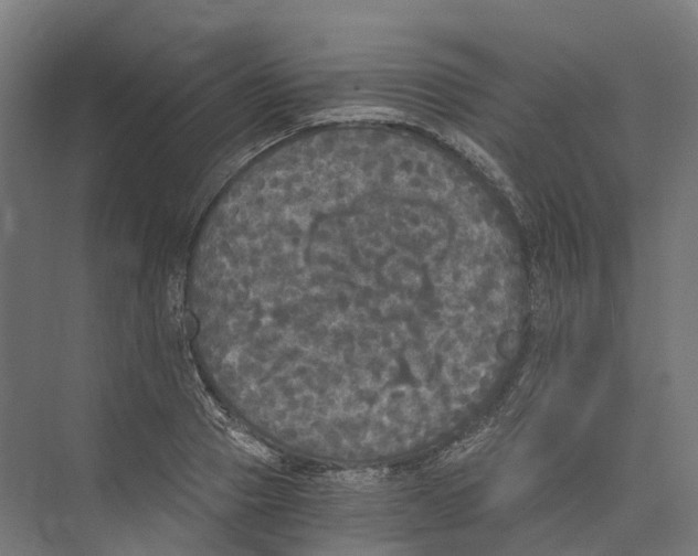 X0000073980937200609181713