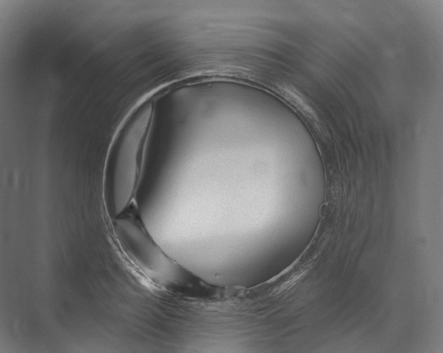 X0000073980940200609181713