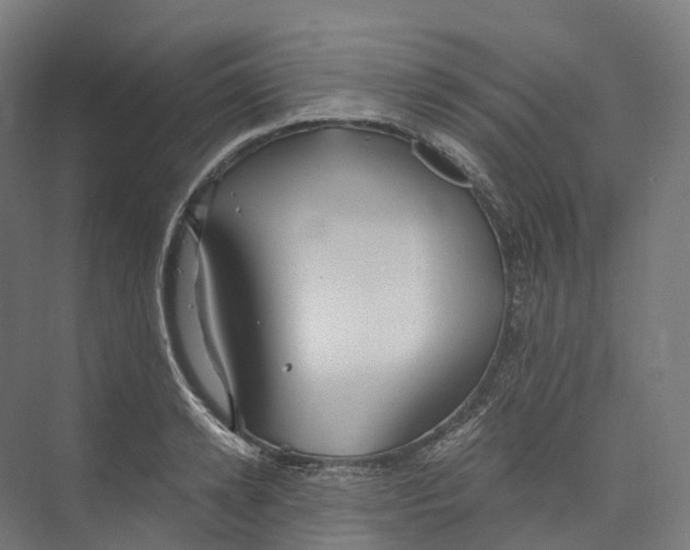 X0000073980942200609181713