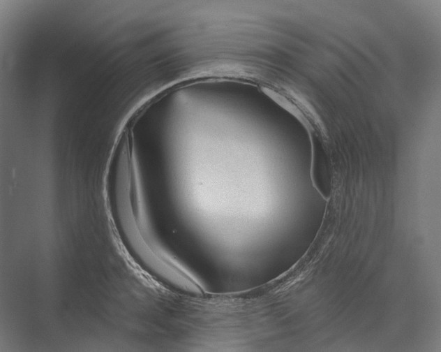 X0000073980944200609181713