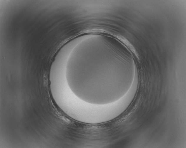 X0000073980945200609181713