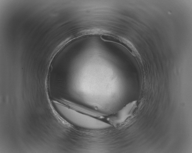 X0000073980946200609181713