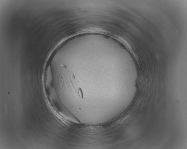 X0000073980947200609181713