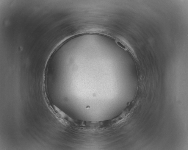 X0000073980948200609181713